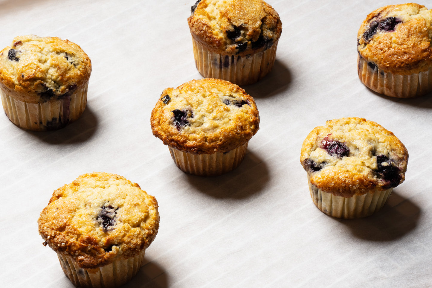 Blueberry Muffin