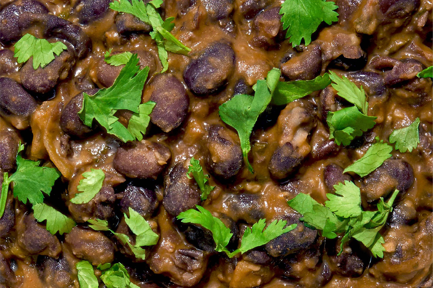 Seasoned Black Beans