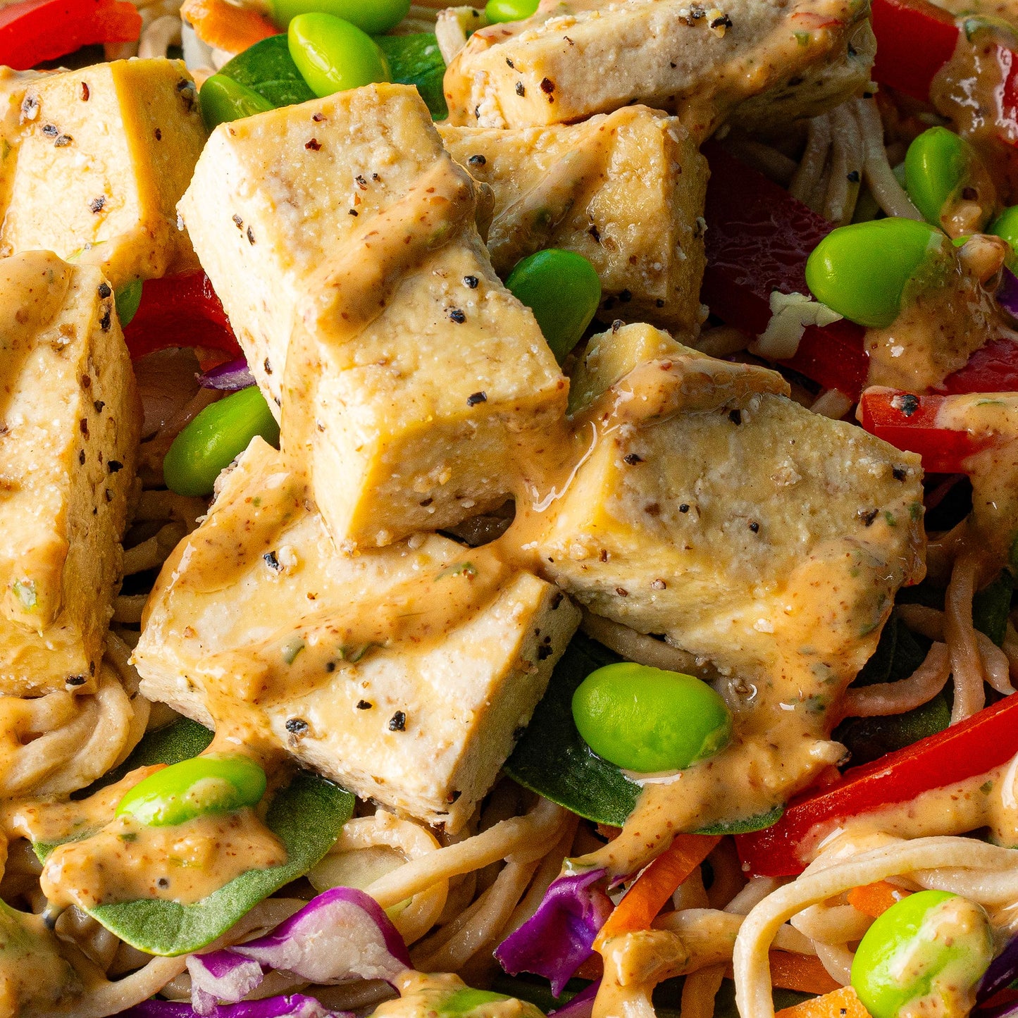 Vegan Yakisoba Noodle Salad