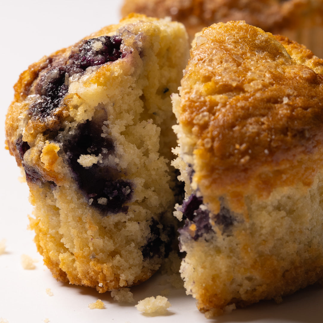Blueberry Muffin